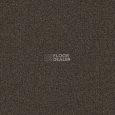 Ковровая плитка Modulyss Millennium Nxtgen Millennium Nxtgen 883 фото 1 | FLOORDEALER